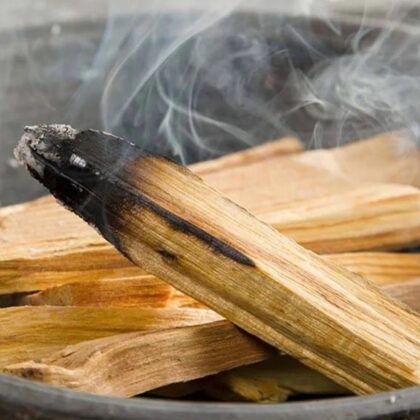 Натурални Пръчици Пало Санто (Свещеното Дърво) (Palo Santo)